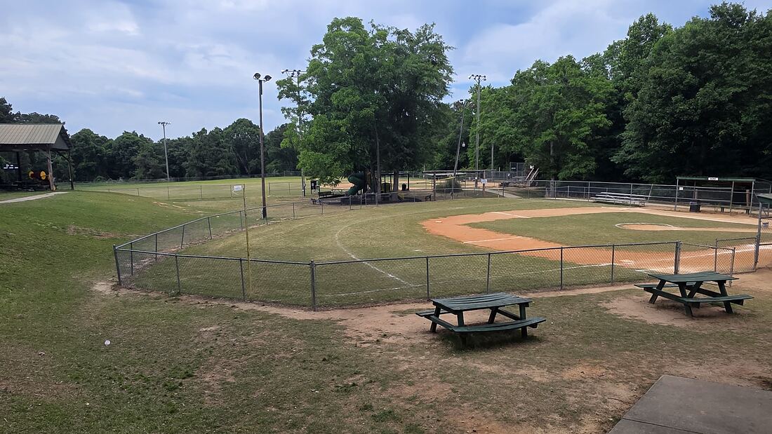 Picnic tables beside a ball field at Bethel Park
