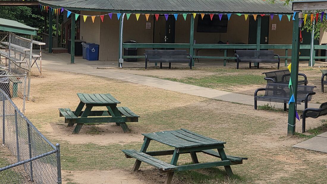 Picnic tables under the pavilion roof at Bethel Park